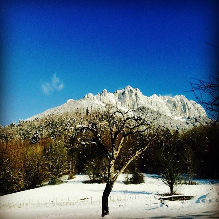Village Vacances Les Alerions Talloires Extérieur photo